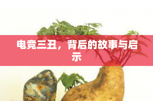 背后的故事与启示图片