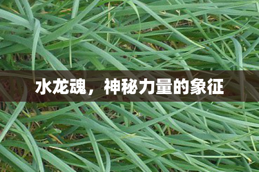 神秘力量的象征图片