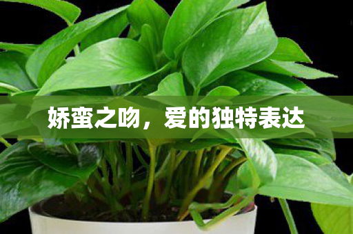爱的独特表达图片