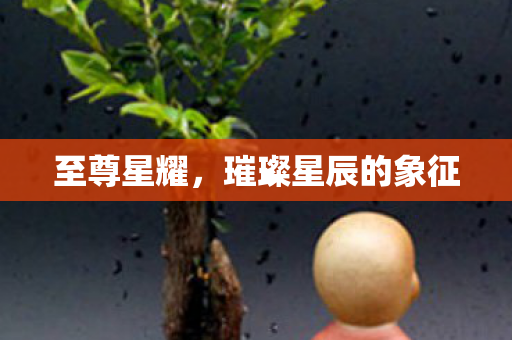 璀璨星辰的象征图片