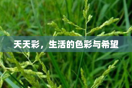 生活的色彩与希望图片