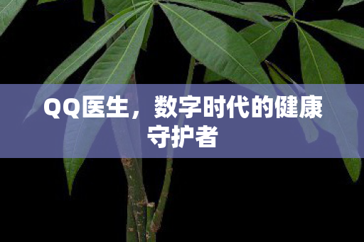 数字时代的健康守护者图片