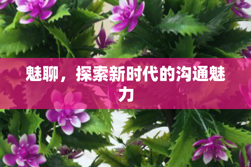 探索新时代的沟通魅力图片
