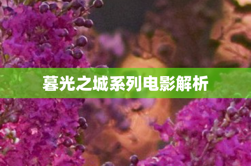 暮光之城系列电影解析图片