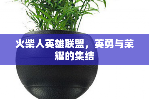 英勇与荣耀的集结图片