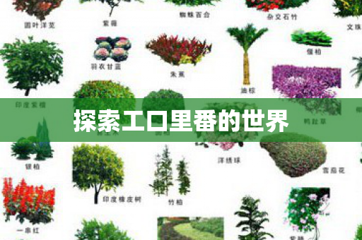 探索工口里番的世界图片