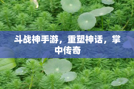 斗战神手游图片
