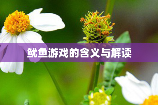 鱿鱼游戏的含义与解读图片