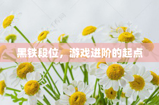 游戏进阶的起点图片