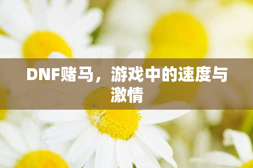 游戏中的速度与激情图片