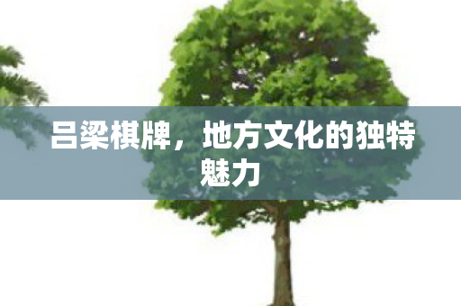 地方文化的独特魅力图片