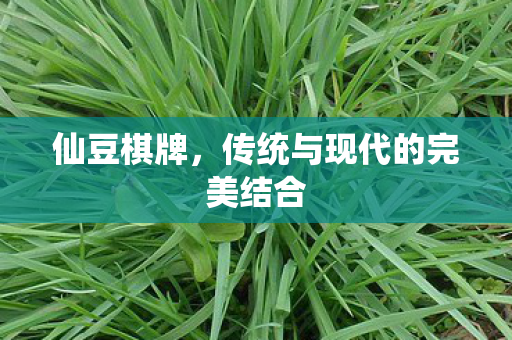 传统与现代的完美结合图片
