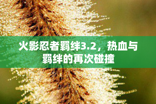热血与羁绊的再次碰撞图片