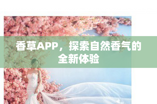 探索自然香气的全新体验图片