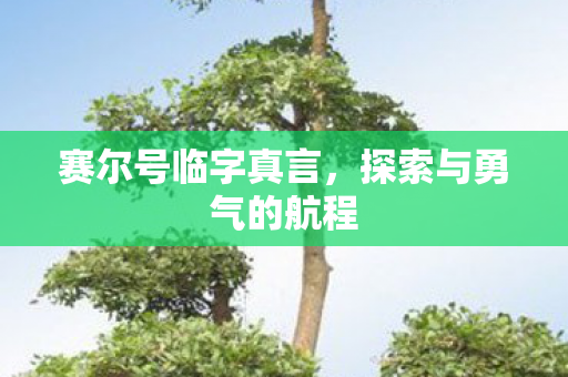 探索与勇气的航程图片
