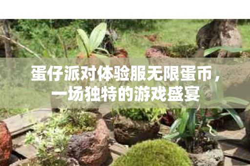 蛋仔派对体验服无限蛋币图片