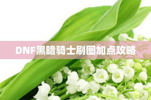 DNF黑暗骑士刷图加点攻略图片