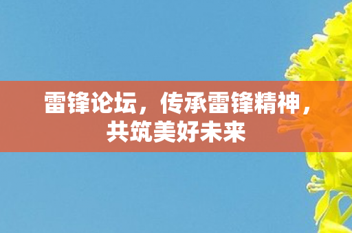 传承雷锋精神图片