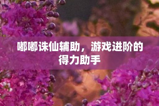 游戏进阶的得力助手图片