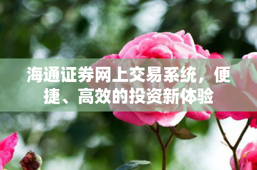海通证券网上交易系统图片