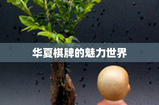 华夏棋牌的魅力世界图片