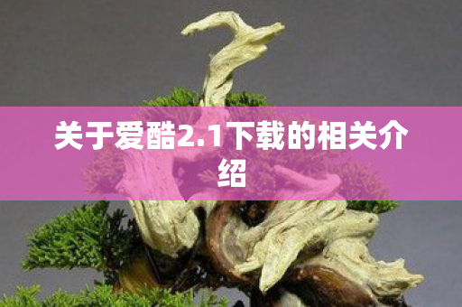 1下载的相关介绍图片
