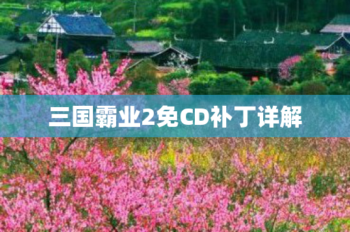 三国霸业2免CD补丁详解图片