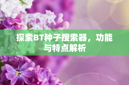 探索BT种子搜索器图片