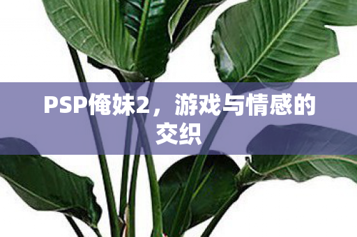 游戏与情感的交织图片