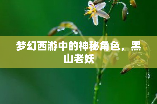 梦幻西游中的神秘角色图片