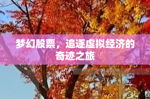 追逐虚拟经济的奇迹之旅图片