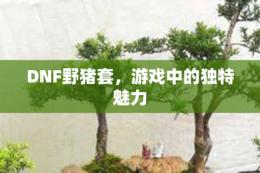 游戏中的独特魅力图片