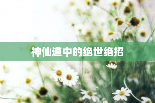 神仙道中的绝世绝招图片