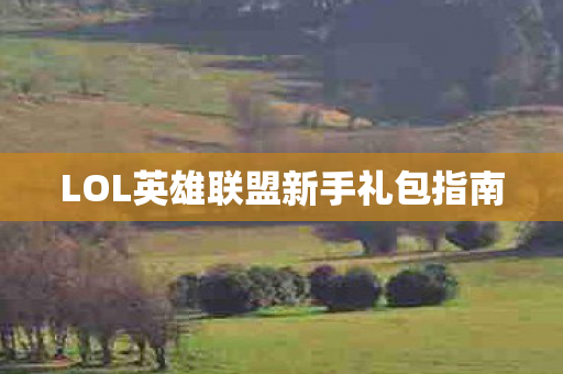 LOL英雄联盟新手礼包指南图片