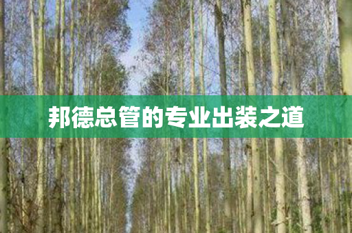 邦德总管的专业出装之道图片