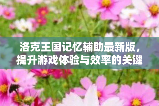 提升游戏体验与效率的关键工具图片