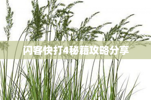 闪客快打4秘籍攻略分享图片