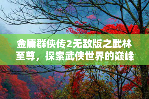金庸群侠传2无敌版之武林至尊图片