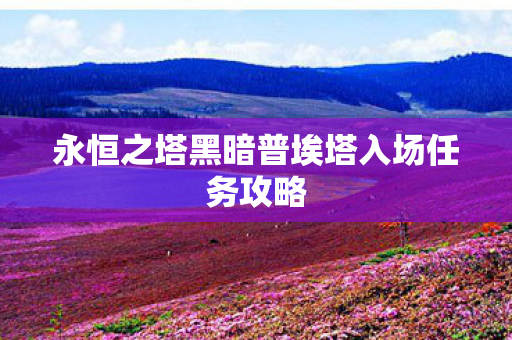永恒之塔黑暗普埃塔入场任务攻略图片