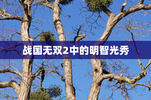 战国无双2中的明智光秀图片