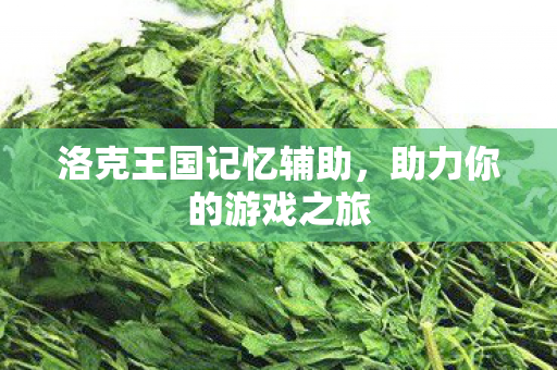 洛克王国记忆辅助图片