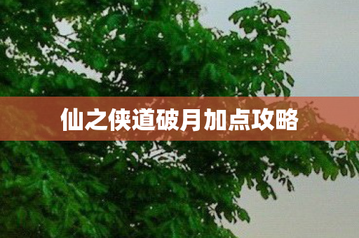 仙之侠道破月加点攻略图片