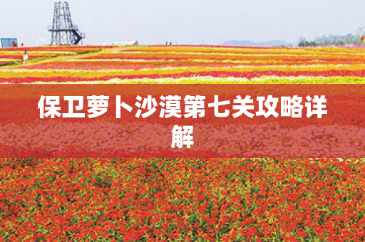 保卫萝卜沙漠第七关攻略详解图片