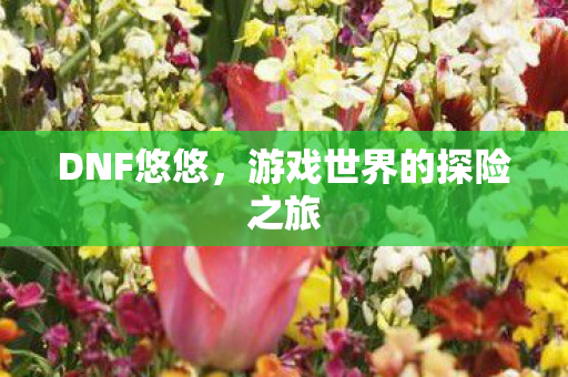游戏世界的探险之旅图片