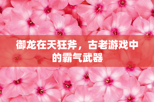 古老游戏中的霸气武器图片