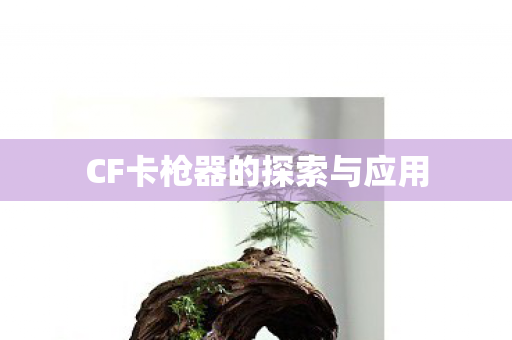 CF卡枪器的探索与应用图片