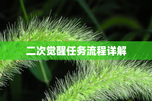 二次觉醒任务流程详解图片