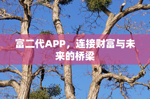 连接财富与未来的桥梁图片