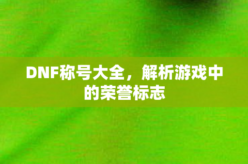 解析游戏中的荣誉标志图片