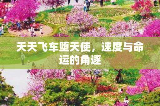 速度与命运的角逐图片